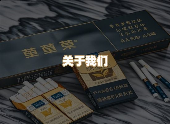 关于真梅地香烟批发